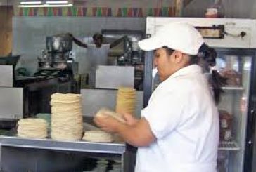 Advierten aumento del kilo de tortilla hasta 32 pesos por sequía y escasez de maíz blanco