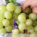 Precio de la uva en México para la celebración de Año Nuevo, incrementan su precio