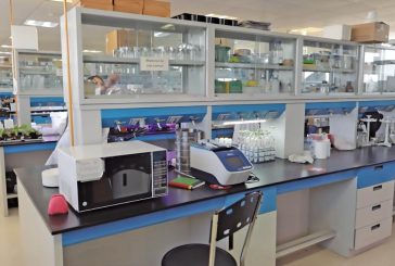 LOGRAN MEJORA GENÉTICA DE ESPECIES VGETALES Y MICROBIANAS