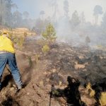 Emite Toluca recomendaciones para prevenir incendios forestales