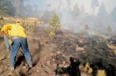 Emite Toluca recomendaciones para prevenir incendios forestales