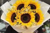 21 de marzo: por qué se regalan flores amarillas este día y qué significa