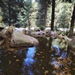 ESTABILIZAN CIENTÍFICOS DE LA UNAM EL MANANTIAL OJO DE AGUA
