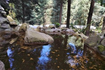 ESTABILIZAN CIENTÍFICOS DE LA UNAM EL MANANTIAL OJO DE AGUA