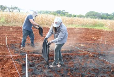 BIOCARBÓN, ALTERNATIVA PARA EL MANEJO SOSTENIBLE DEL SUELO