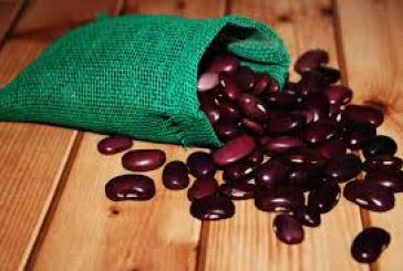 INDAGAN APORTES NUTRICIONALES DEL AYOCOTE A LA SALUD HUMANA, EN LA FES CUAUTITLÁN
