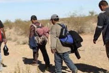 LA MIGRACIÓN ES NEGOCIO: ARIADNA ESTÉVEZ LÓPEZ
