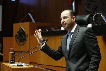 EXHORTA MARKO CORTÉS A SHEINBAUM A QUE SE RECONOZCA DE MANERA OFICIAL A LAS MADRES BUSCADORAS COMO DEFENSORAS DE DERECHOS HUMANOS