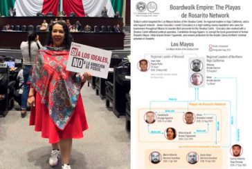 UIF bloquea cuentas de diputada de Morena, Hilda Araceli, y 15 empresas vinculadas al CJNG