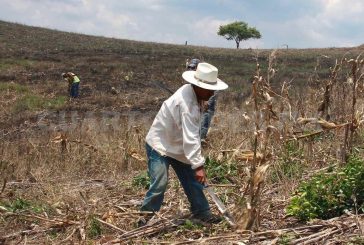 EL ABANDONO DEL GOBIERNO AL SECTOR PRIMARIO, ABRIÓ EL CAMINO A LA CORRUPCIÓN