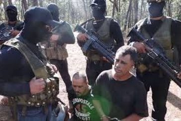 Extorsiones del narco elevan hasta 20% costo de los alimentos: CNA