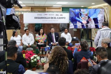 Gobierno de Puebla potencia producción de Nochebuena y consolida a Atlixco como líder nacional