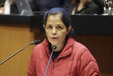BUSCA PARTIDO VERDE CASTIGAR ABANDONO DE ADULTOS MAYORES