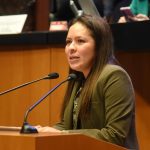 PARTIDO VERDE CIERRA PERIODO ORDINARIO CON REFORMAS EN FAVOR DE DERECHOS HUMANOS, INCLUSIÓN DIGITAL Y JUSTICIA AMBIENTAL