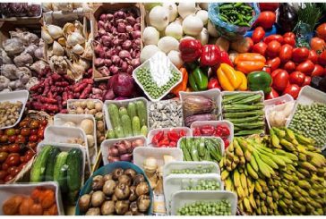 AGRÓNOMOS DEL PAÍS, SE PRONUNCIAN POR PREPARAR Y EJECUTAR UN PLAN AGROALIMENTARIO DE GRAN VISIÓN PARA EL PERIODO 2030 – 2050
