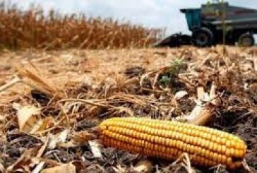 Irán amenaza con provocar una escasez mundial de alimentos