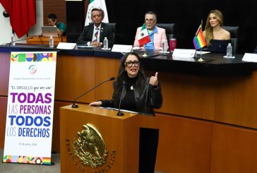 El Estado debe garantizar la diversidad sexual: Arias Trevilla