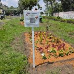 Impulsa Toluca la instalación de 100 jardines polinizadores