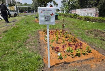 Impulsa Toluca la instalación de 100 jardines polinizadores